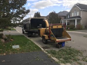 Wood chipper for tree removal / tree pruning