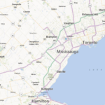 Derek's Tree Service Inc photo 8